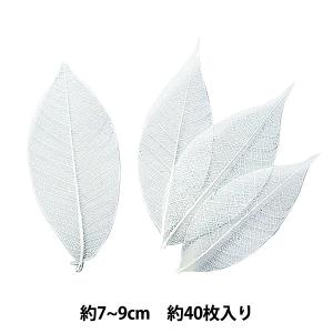 ドライフラワー 『ミニスケルトンリーフ 大 白 51494-011』