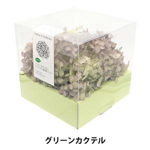 プリザーブドフラワー 『ソフトあじさいアナベル彩楽 グリーンカクテル 64333』｜yuzawaya