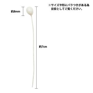 アートフラワー材料 『ワックスパールペップ 白』の詳細画像2