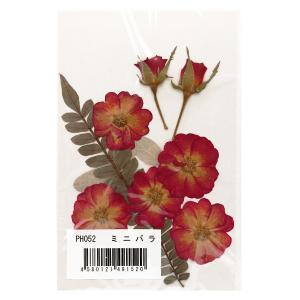 ユザワヤ 押し花キット 手芸 ハンドクラフト の商品一覧 楽器 手芸 コレクション 通販 Yahoo ショッピング