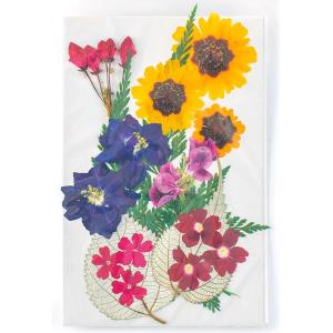 押し花道具 材料 楽器 手芸 コレクション 通販 Paypayモール