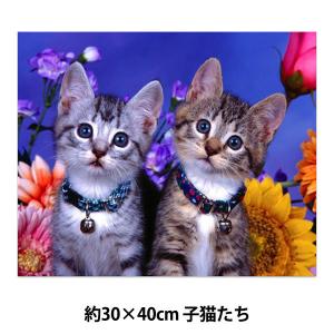 ビーズキット 『ダイヤモンドフィックス 子猫たち 514902』 東京交易