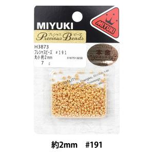 ビーズ 『プレシャスビーズ 丸小 2mm #193 うす金メッキ H3874 