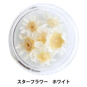 ユザワヤ 押し花 レジンの商品一覧 通販 Yahoo ショッピング