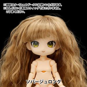 クラフトハートトーカイ マイドールコレクション ドレスキット