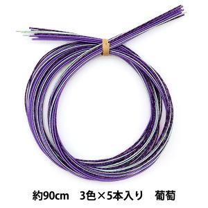 トルソー 『ディスプレイボディ BL716-02-80』 kiiya キイヤ