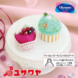 クラフト パッチワーク キルト スウィーツマグネット ベリーのムースケーキとミントのカップケーキ オリムパス 手作りキット 手芸キット 手芸材料の通販シュゲールyahoo 店 通販 Yahoo ショッピング
