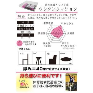 ヌードクッション 『ウレタンクッション 40x...の詳細画像1