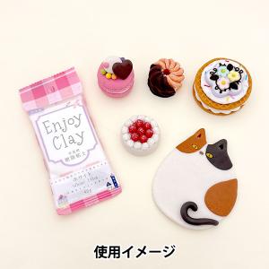 粘土 『樹脂粘土 エンジョイクレイ 約40g ...の詳細画像1