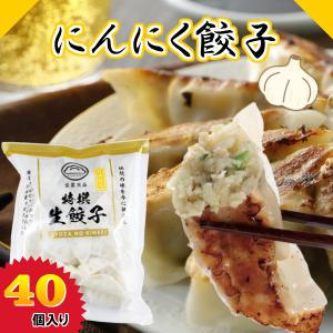≪冷凍≫青しそ餃子 40個 餃子 しそ ぎょうざ 冷凍餃子 水餃子 ≪冷凍≫青しそ餃子 40個 餃子 しそ ぎょうざ 冷凍餃子 水餃子