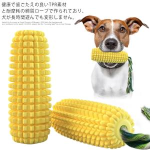 犬 おもちゃ 壊れない 噛む 硬い 紐 歯磨き 犬歯ブラシ ワンちゃんの歯磨き安全 頑丈 コーン型 耐久性 丈夫 清潔 スティック 運動不足やストレス｜yuzuchanshop