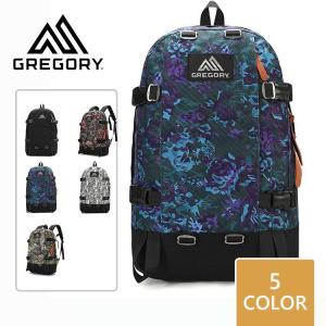 GREGORYグレゴリー GREGORY バックパック リュックサック デイパック 送料無料  22Ｌ