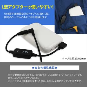 USB昇圧 アダプター L型 12V ファン付...の詳細画像4