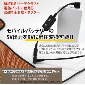昇圧 アダプタ バートル 変換 BURTLE ...の詳細画像1
