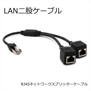 分岐ケーブル 二股 LANケーブル アダプター コネクタ RJ45分配器 分配 RJ45オス メス 二股ケーブル パソコン オフィス ネットワークスプリッターケーブル LAN｜yyconnectonline