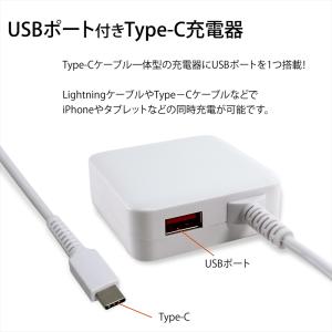iPhone 17e 16 Type-C タイ...の詳細画像1
