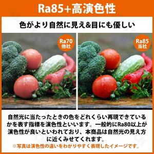 【2026新登場】シーリングファンライト le...の詳細画像3