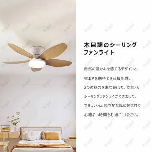 【2026新登場】シーリングファンライト おし...の詳細画像1
