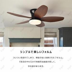 【2026新登場】シーリングファンライト おし...の詳細画像2