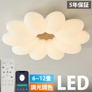 DOSHISHA（ドウシシャ） DOSHISHA DCC-G14CM サーキュライト