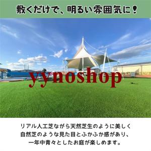 人工芝 ロール 1m×5m 1m×10m di...の詳細画像1