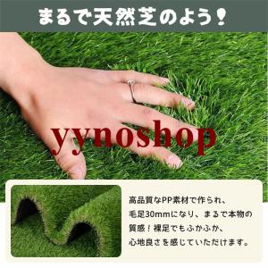 人工芝 ロール 1m×5m 1m×10m di...の詳細画像4