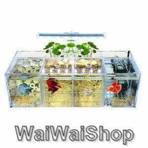 アクアリウム 初心者 レイアウト 水槽 オブジェ メダカ オーナメント Mt 0616 006 わいわいshop 通販 Yahoo ショッピング