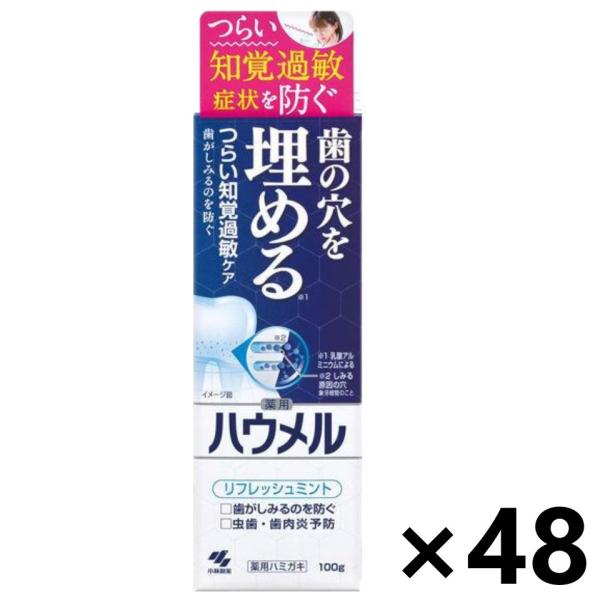 【ケース販売!!】ハウメル 100gx48本 小林製薬
