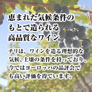 白ワイン サンタ ヘレナ アルパカ シャルドネ...の詳細画像3
