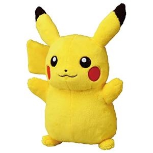 ポケモンセンターオリジナル ぬいぐるみ マンスリーピカチュウ