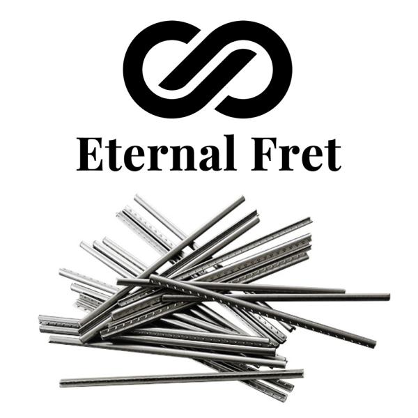 F.C.G.R. Eternal Fret SPEEDY EI-S-017 ステンレスフレット 2....