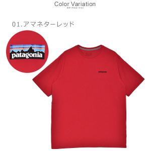 パタゴニア 半袖Tシャツ メンズ P-6ロゴ ...の詳細画像1