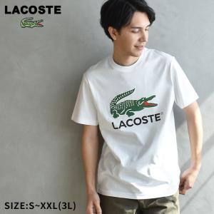 LACOSTE（ラコステ） 半袖Tシャツ メンズ テクニカルコットンTシャツ