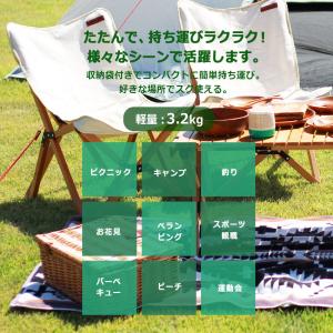 (訳あり)ピース パーク チェア フォールディ...の詳細画像4