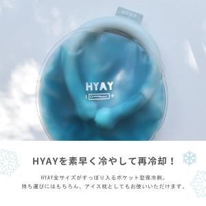 (ネコポス配送) アイススヌード用保冷剤 氷枕...の詳細画像1