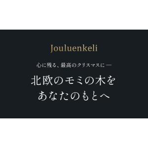 クリスマスツリー 180cm 北欧風ツリーの木...の詳細画像4