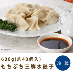 もちぷち三鮮水餃子 600g  友盛貿易 海老餃子 魚介 ギョーザ ぎょうざ エビ 一口サイズ