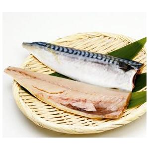 塩サバフィーレ 3枚 （ 真空 ） ヒガシマル 3人分 3匹 3人用 3人前 鯖 カット済 そのまま使える 調理 料理 魚介類 海鮮 家庭用 業務用 [冷凍食品]｜z-foods
