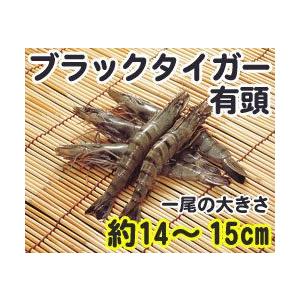 ブラックタイガーエビ 有頭 50尾 1.3kg 輸入 50匹 魚介類