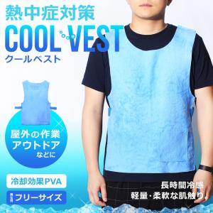 利用で450円 クールベスト 冷感 ひんやり 暑さ対策 冷却