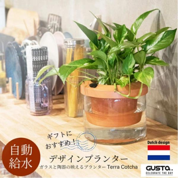 植木鉢 プランター自動給水 おしゃれ 観葉植物 欧州 ブランド GUSTA Terra Cotcha...