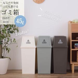 ゴミ箱 45リットル おしゃれ 屋外 分別 キッチン スリム キャスター フタ付き シンプル 細長い フロントオープン ダストボックス 大容量 東谷 LFS-761｜z-selection