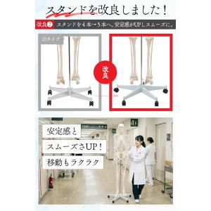 【国際規格認証品】改良版 成人男性等身大 人体...の詳細画像3