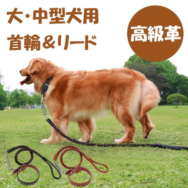 犬用 首輪 リード 大型犬 中型犬 ペットリード 革 レザー メタル スプリング付き 衝撃緩和 錆に...