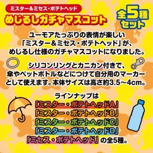 【全種セット】ミスター&ミセス・ポテトヘッド ...の詳細画像4