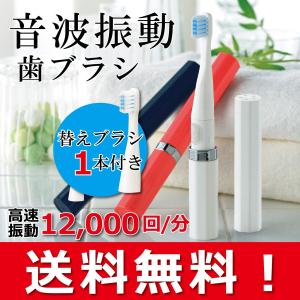 電動歯ブラシ 本体 音波歯ブラシ 替えブラシ 1本セット