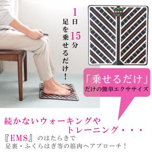 EMS フットマット DX リモコン付き マッ...の詳細画像1