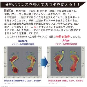 インソール アーチサポート 2足セット BMZ...の詳細画像2