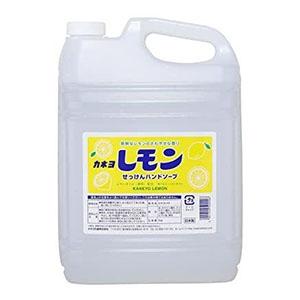 カネヨ石鹸 水石けん ハンドソープ 泡ポンプ/液ポンプ兼用 カネヨ石鹸 水石けん ハンドソープ 泡ポンプ/液ポンプ兼用
