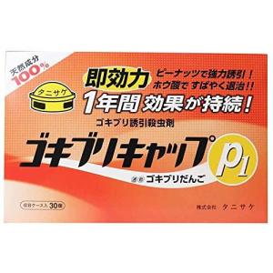 タニサケ　ゴキブリキャップＰ１ 10ｇ×30個入｜zaccaya